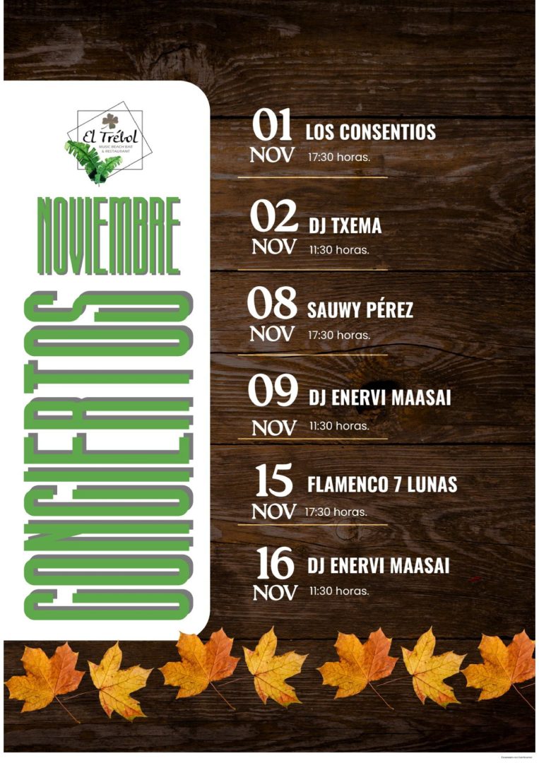 Musique live au Camping El Torres